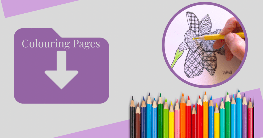 A 'Colouring Pages' download icon is on the left. On the right, a hand colours a daffodil drawing with a yellow pencil. A row of colourful pencils lines the bottom.